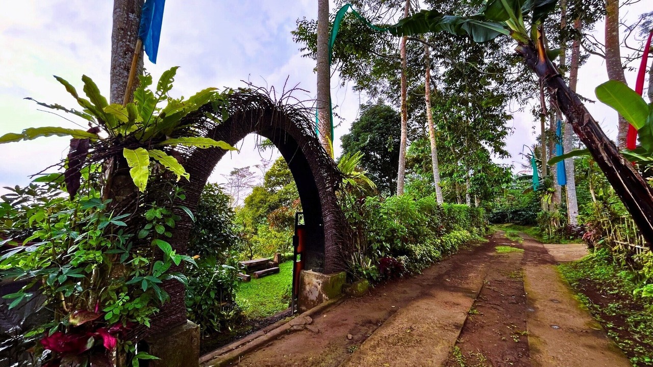 Photo of Outdoor in Pupuan