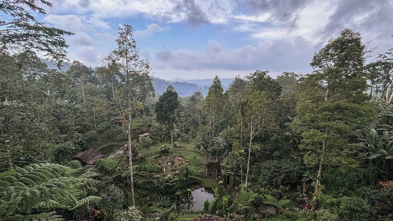 Photo of Outdoor in Pupuan
