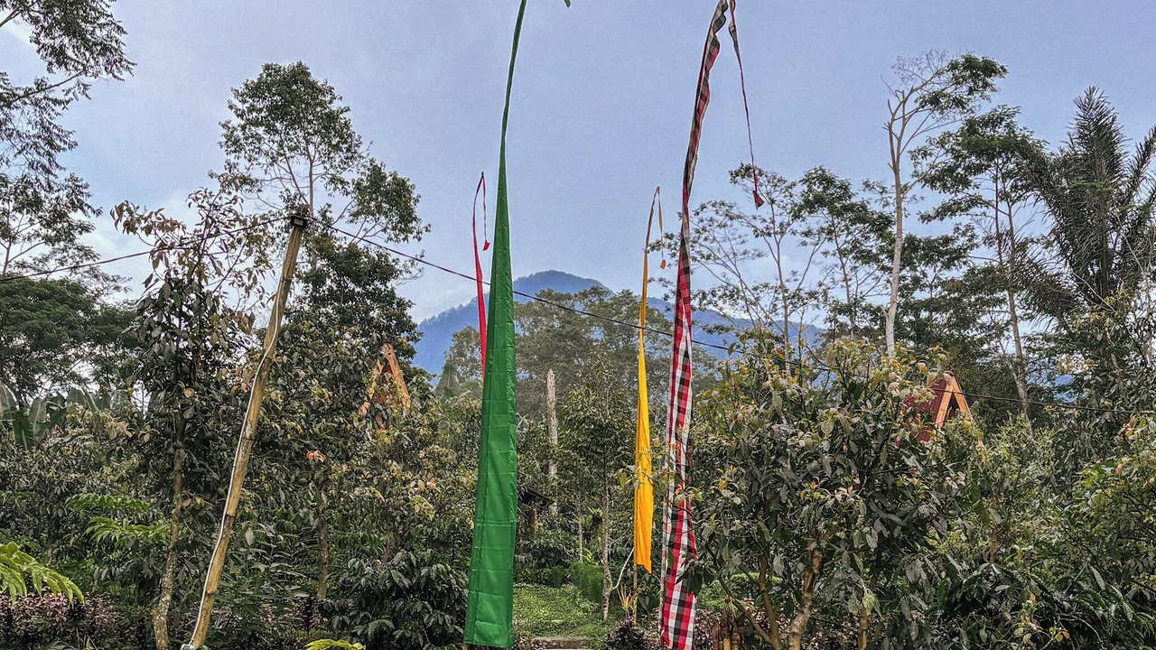 Photo of Others in Pupuan