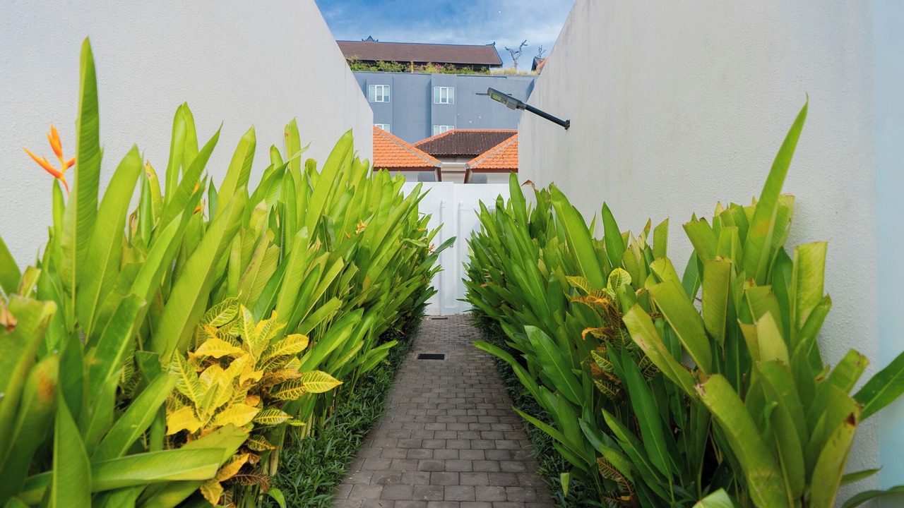 Photo of Others in Seminyak