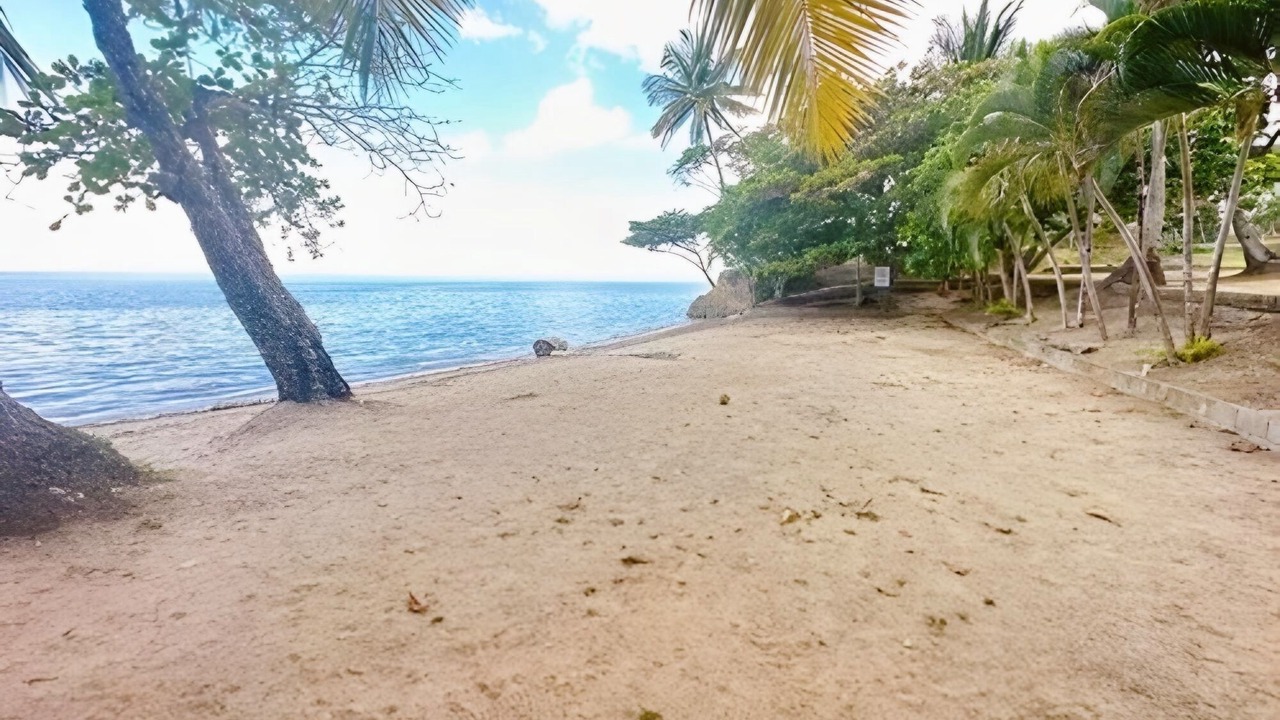 Photo of Others in Puerto Bahia