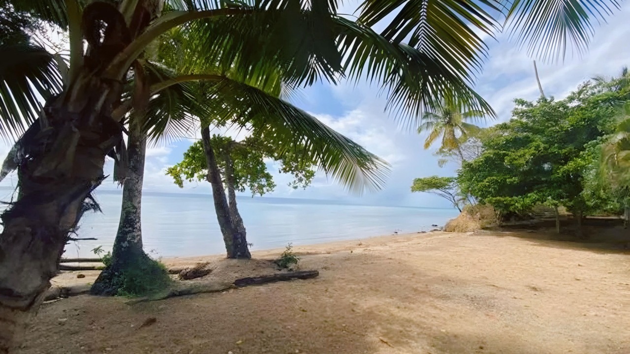 Photo of Others in Puerto Bahia