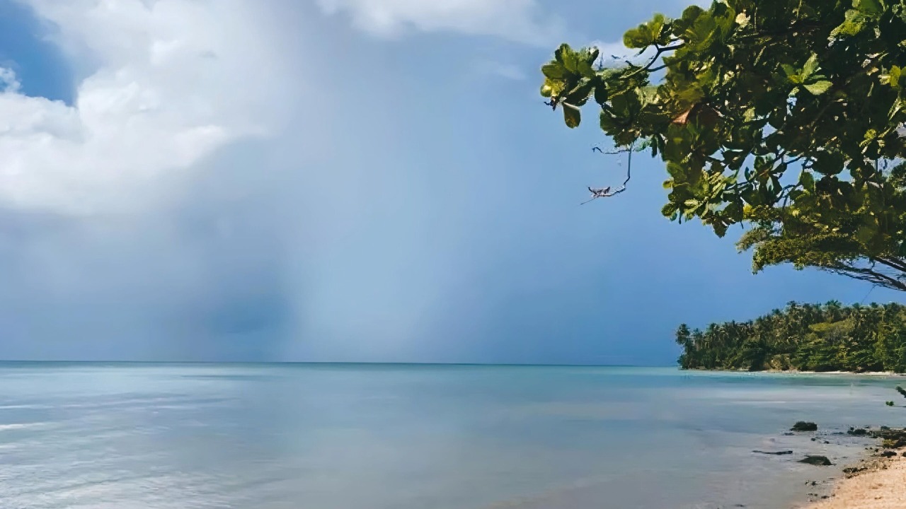 Photo of Others in Puerto Bahia