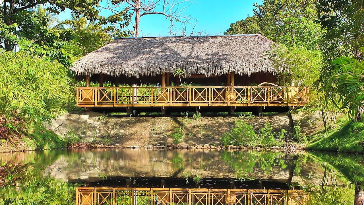 Photo of Outdoor in El Factor