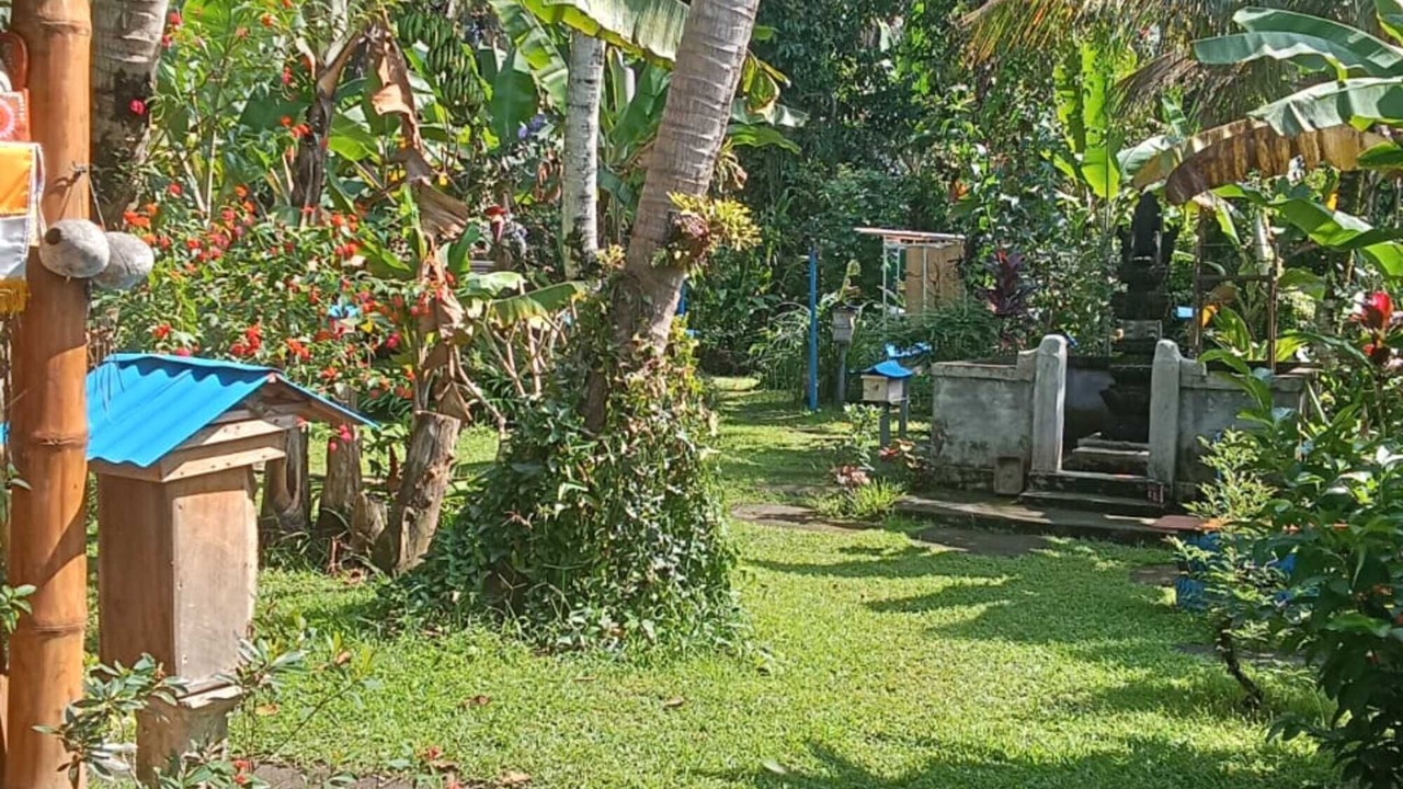 Photo of Outdoor in Carangsari