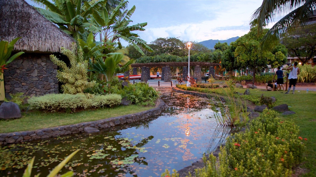 Photo of Outdoor in Pa'ofa'i