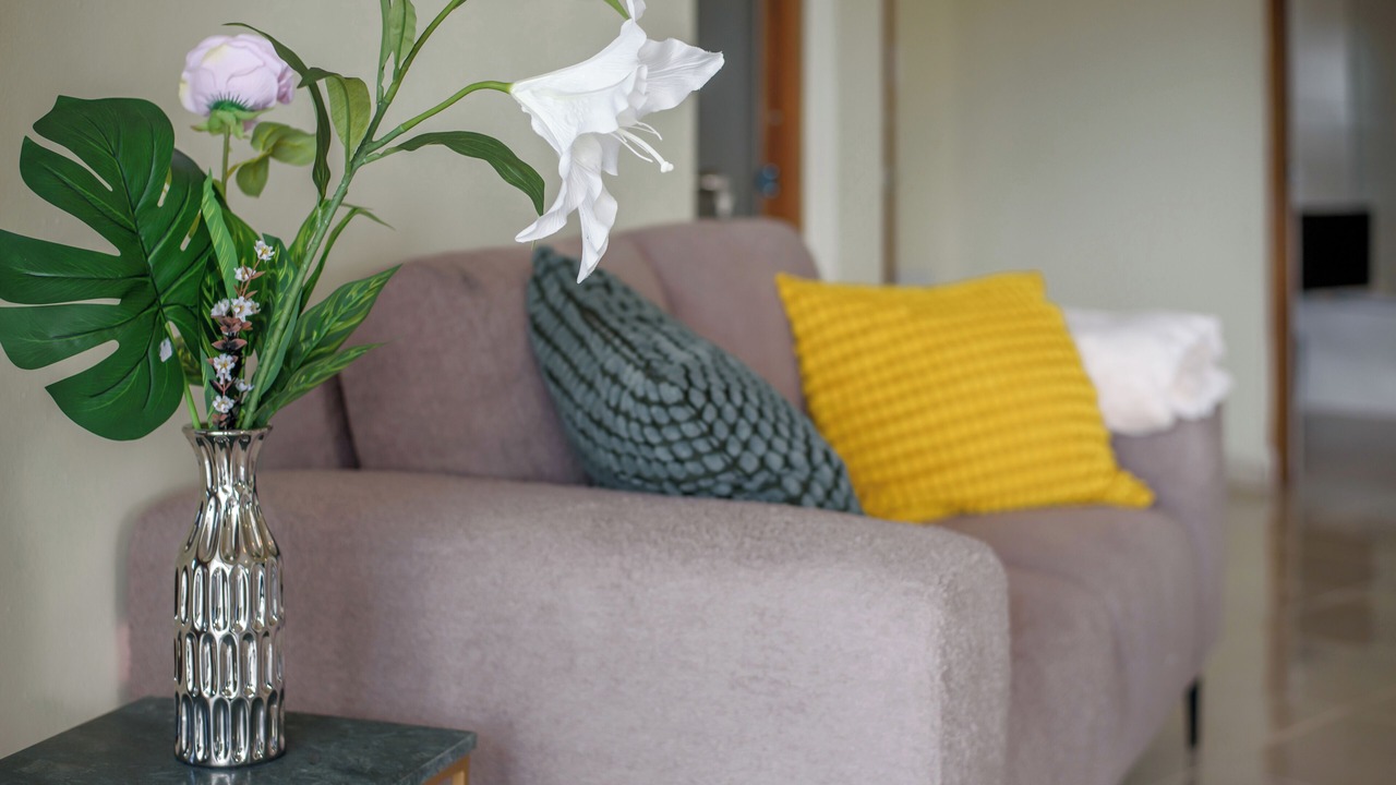 Photo of Livingroom in Rio San Juan