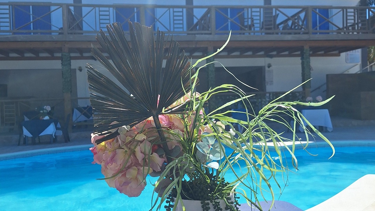 Photo of Patio Balcony in Punta Rucia