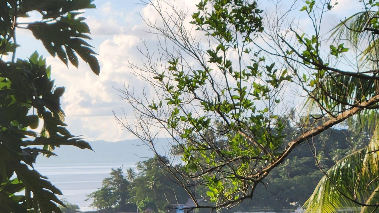 Photo of Others in Savusavu