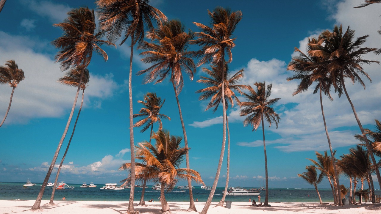 Photo of Others in Punta Cana