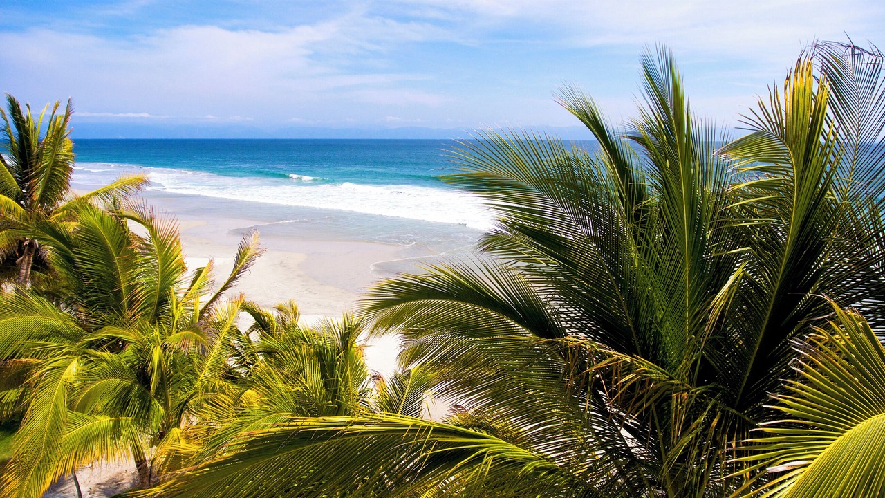 Photo of Outdoor in Punta Cana