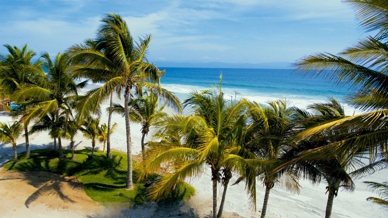 Photo of Outdoor in Punta Cana