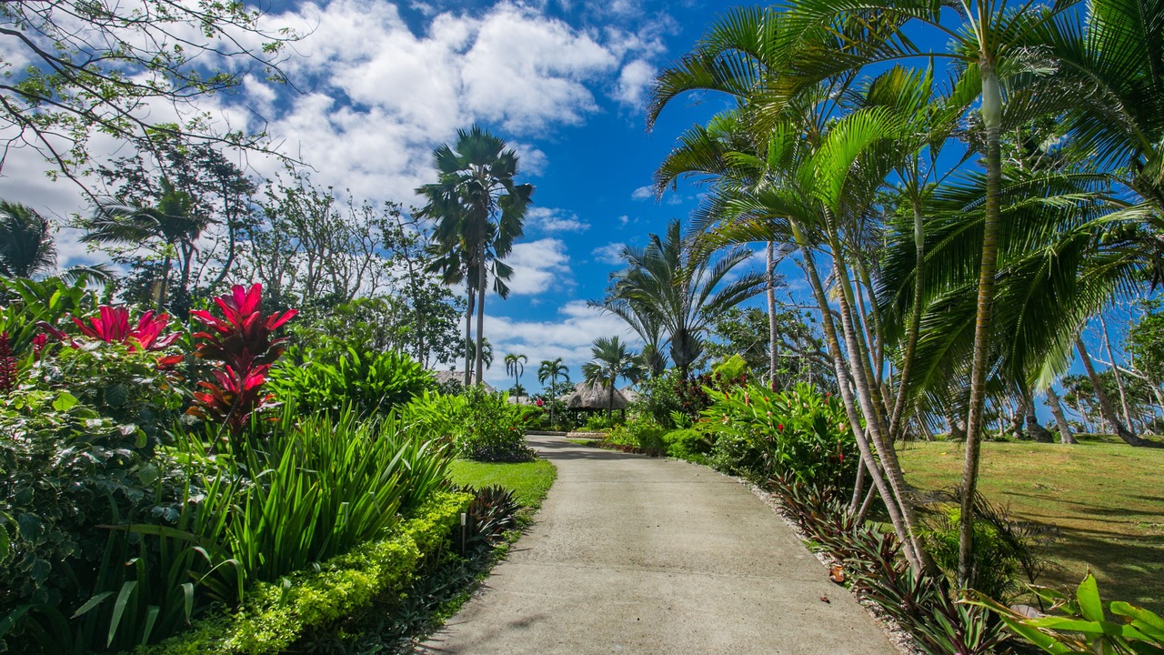 Photo of Others in Savusavu