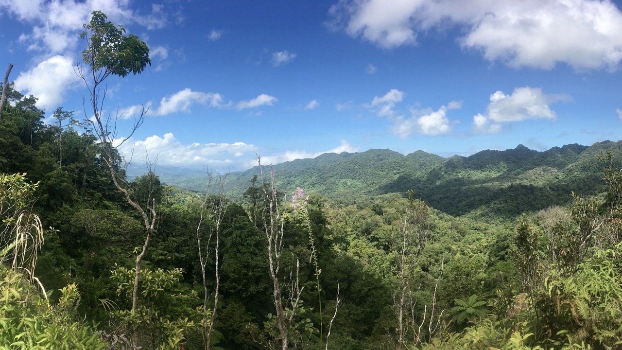 Photo of Outdoor in Savusavu