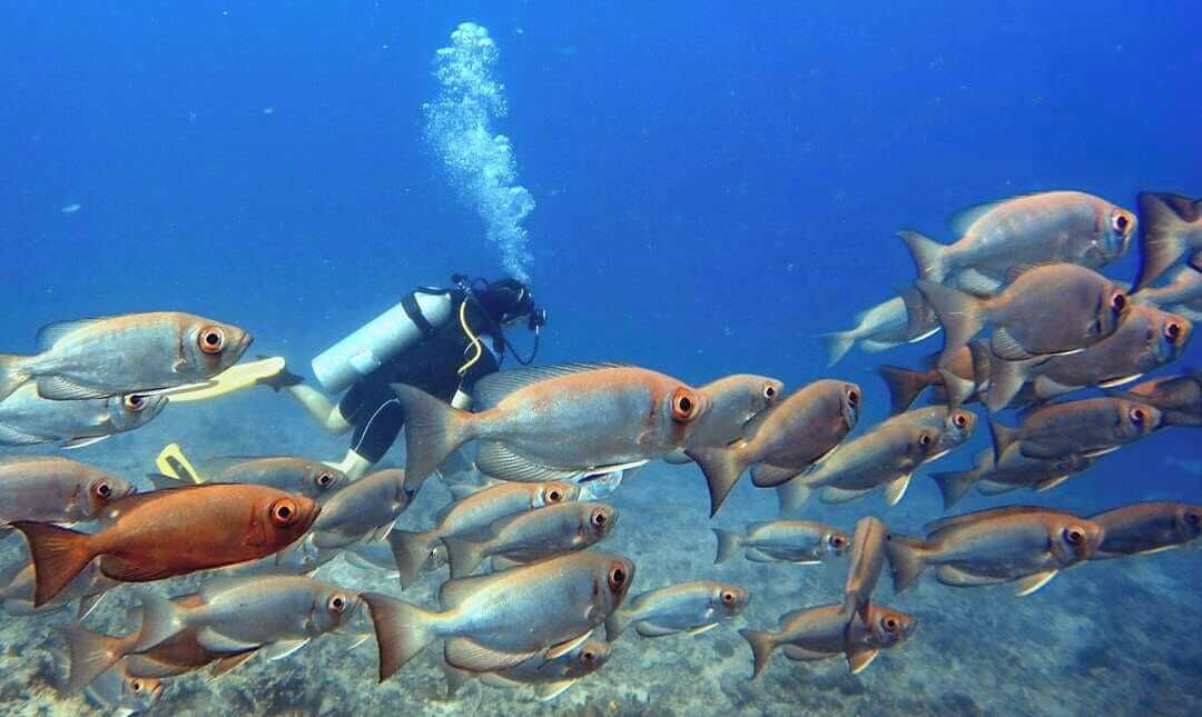 Photo of Outdoor in Mana Island