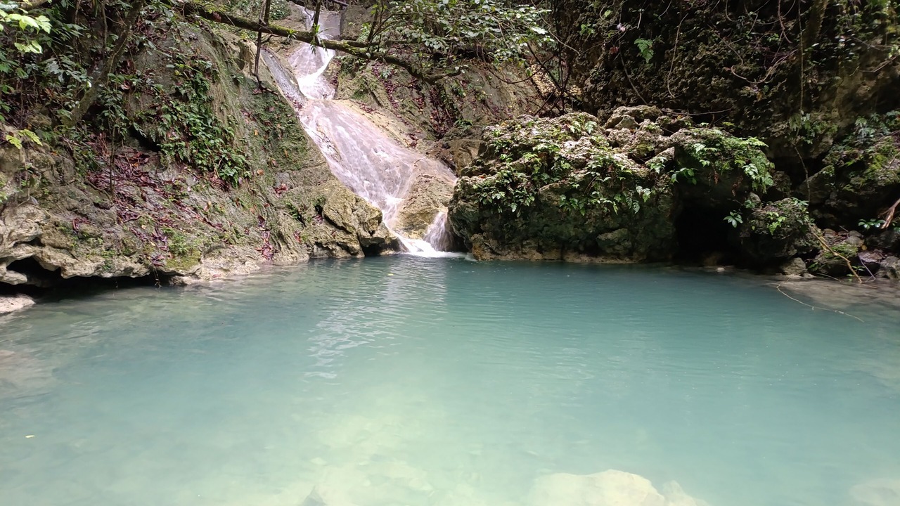 Photo of Outdoor in Gaspar Hernandez