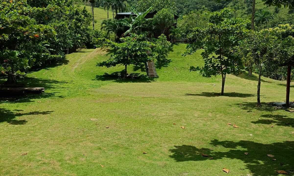 Photo of Outdoor in Gaspar Hernandez
