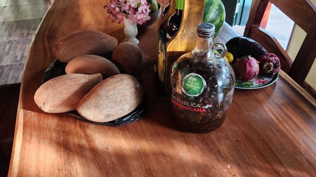 Photo of Kitchen in Gaspar Hernandez