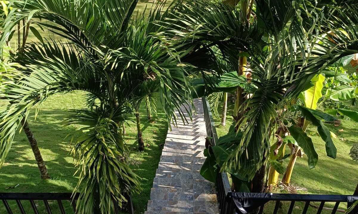 Photo of Outdoor in Gaspar Hernandez