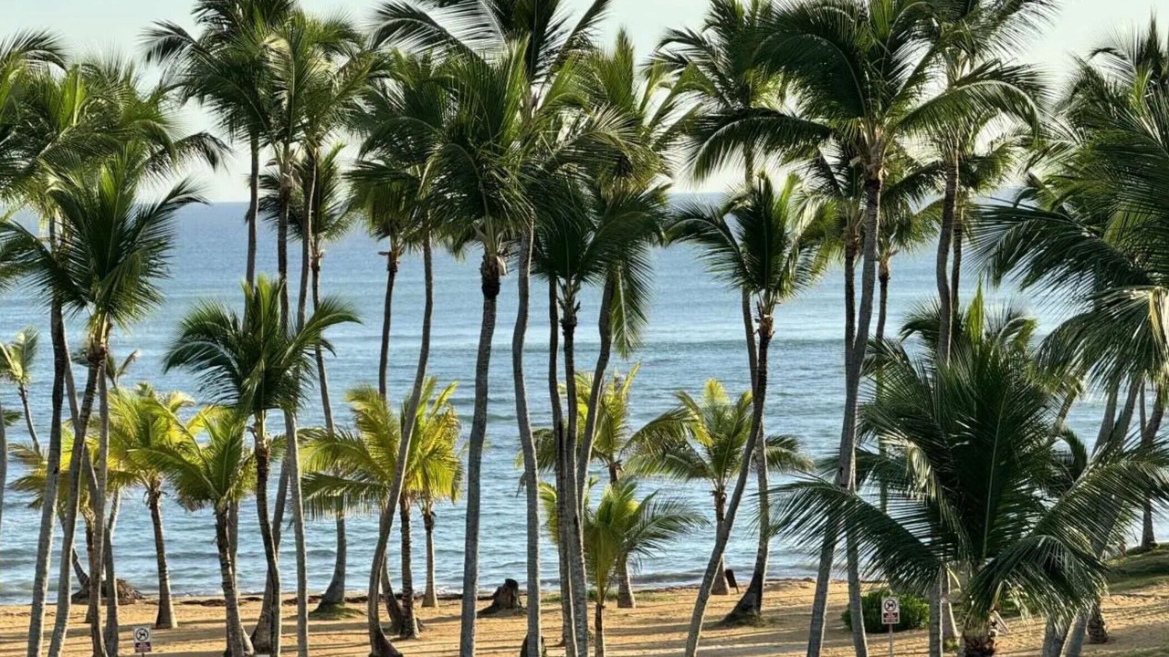 Photo of Others in Punta Cana