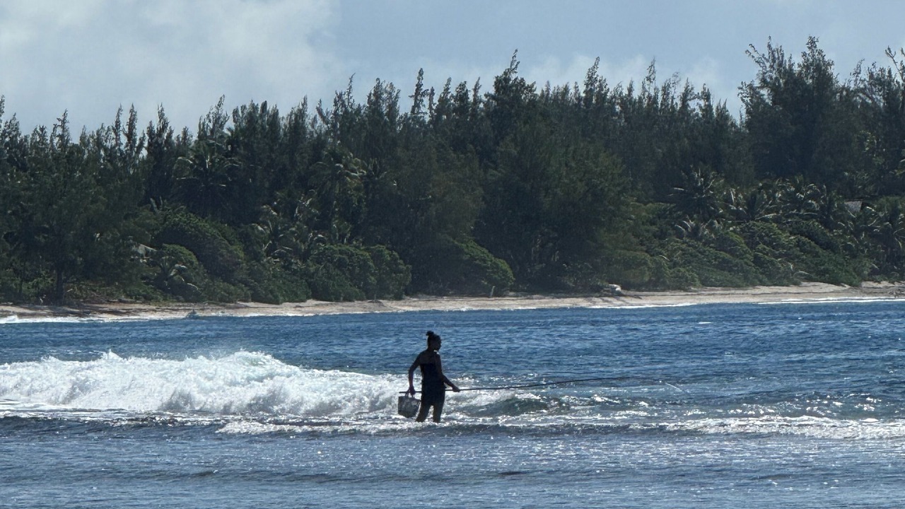 Photo of Others in Teavaro