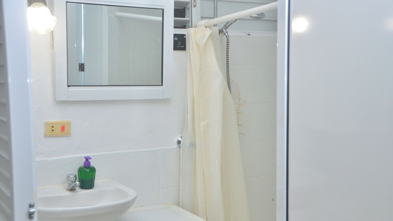 Photo of Bathroom in La Isabela