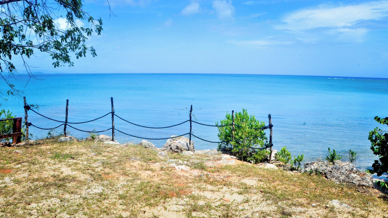 Photo of Outdoor in La Isabela