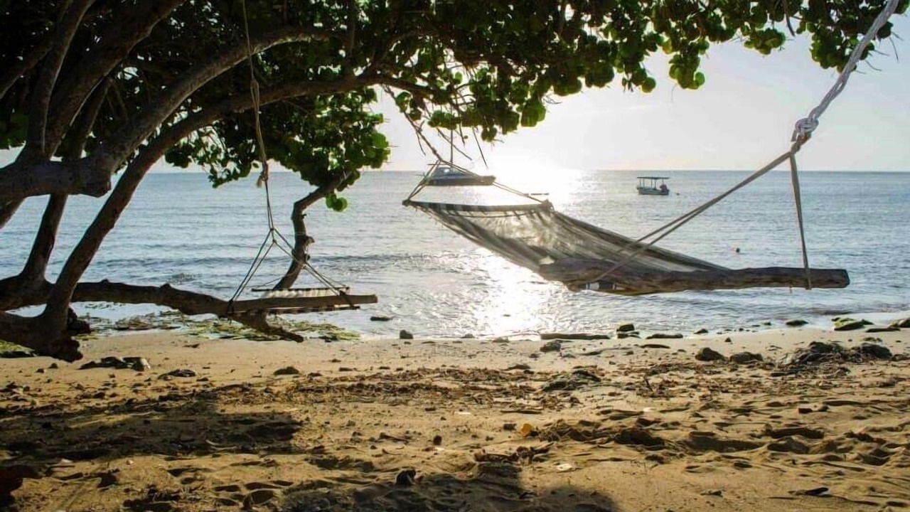 Photo of Others in La Isabela
