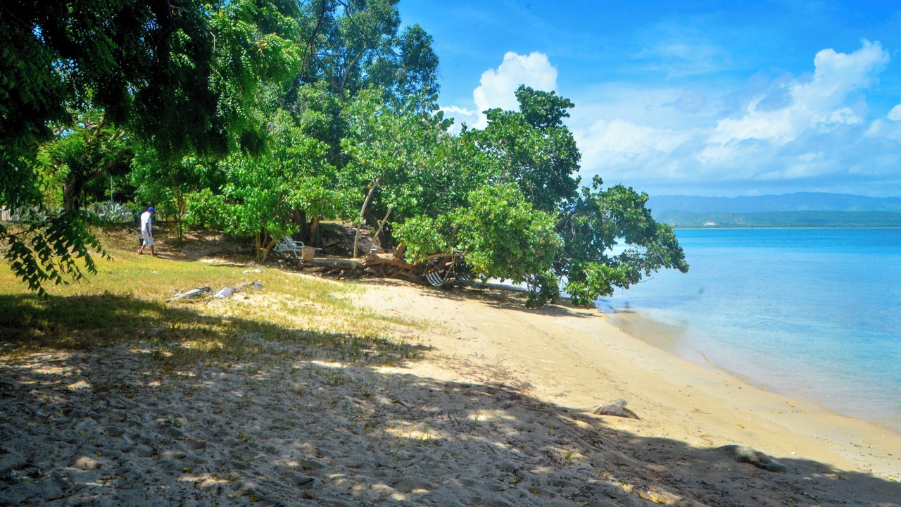 Photo of Others in La Isabela