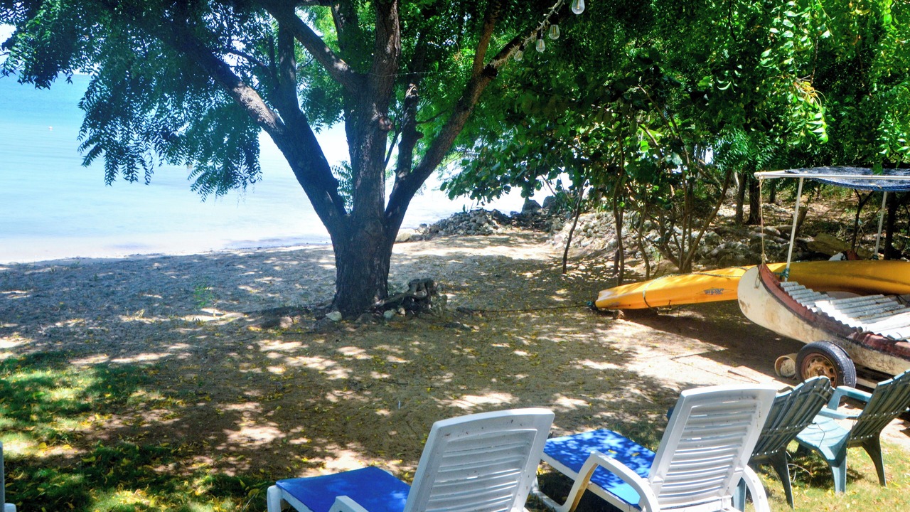 Photo of Others in La Isabela