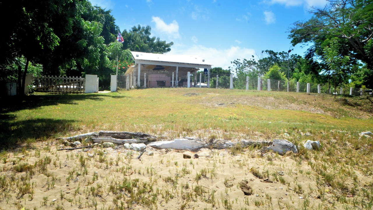 Photo of Others in La Isabela