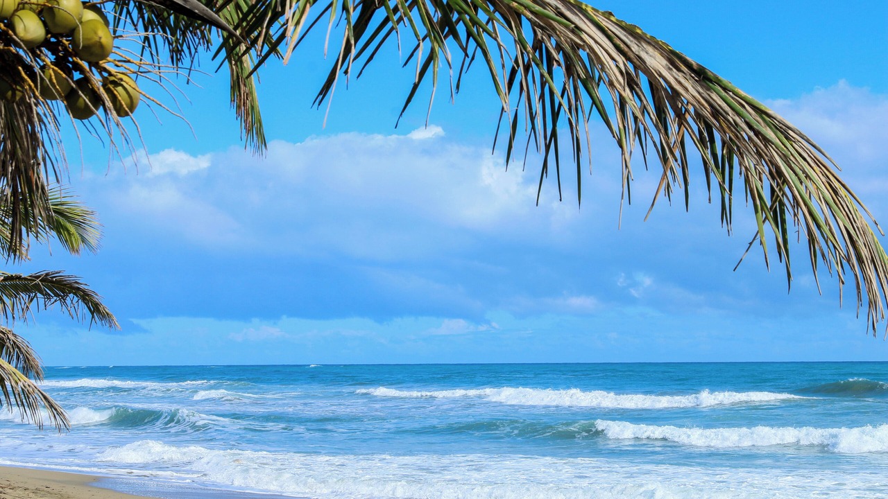 Photo of Others in Cabarete
