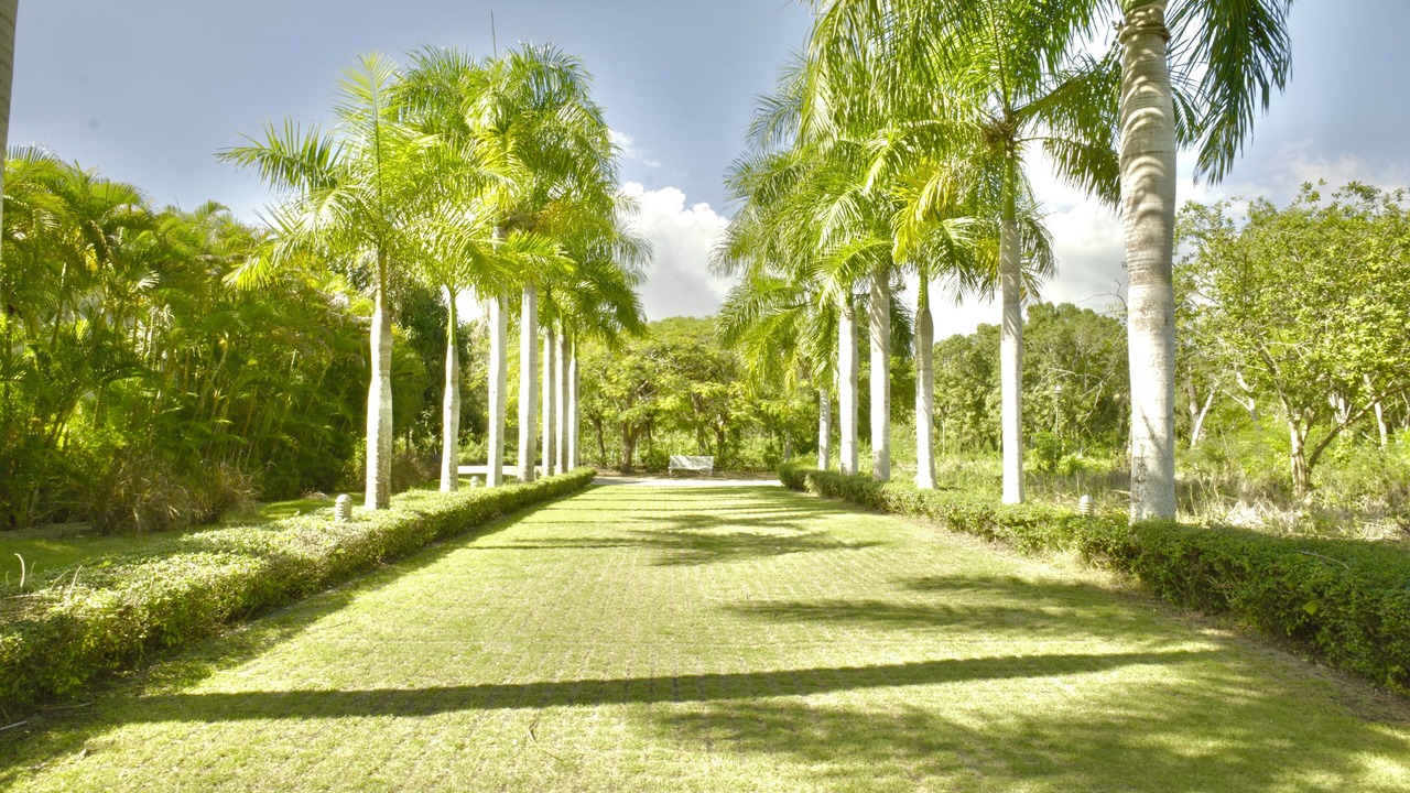 Photo of Outdoor in Guayacanes