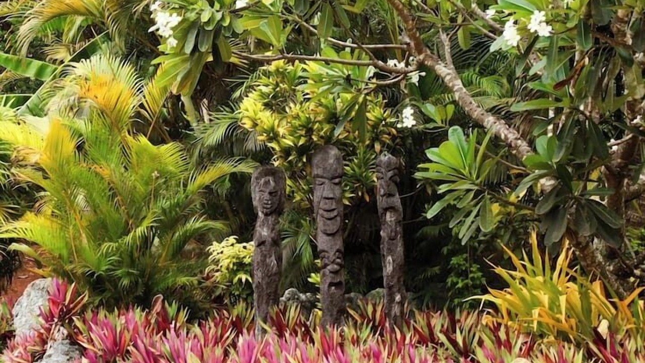 Photo of Outdoor in Malolo Lailai Island