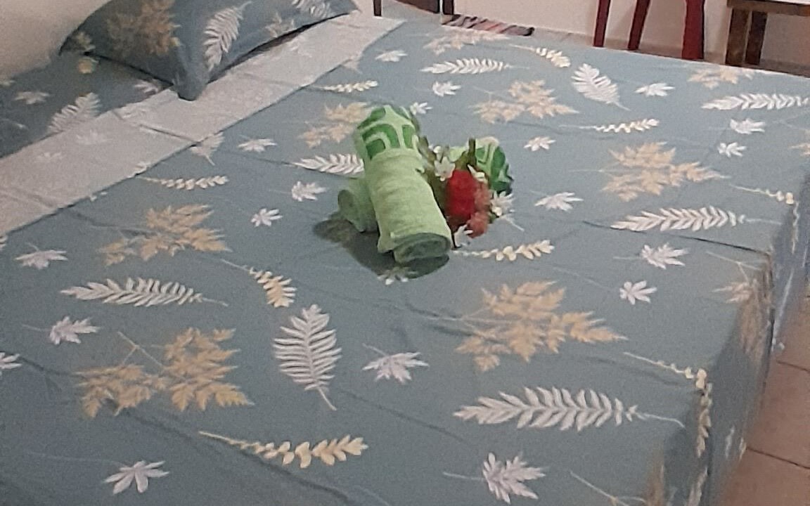 Photo of Bedroom in Te-Fare-Arii