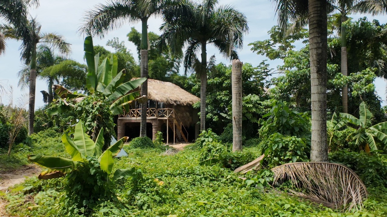 Photo of Outdoor in El Limon