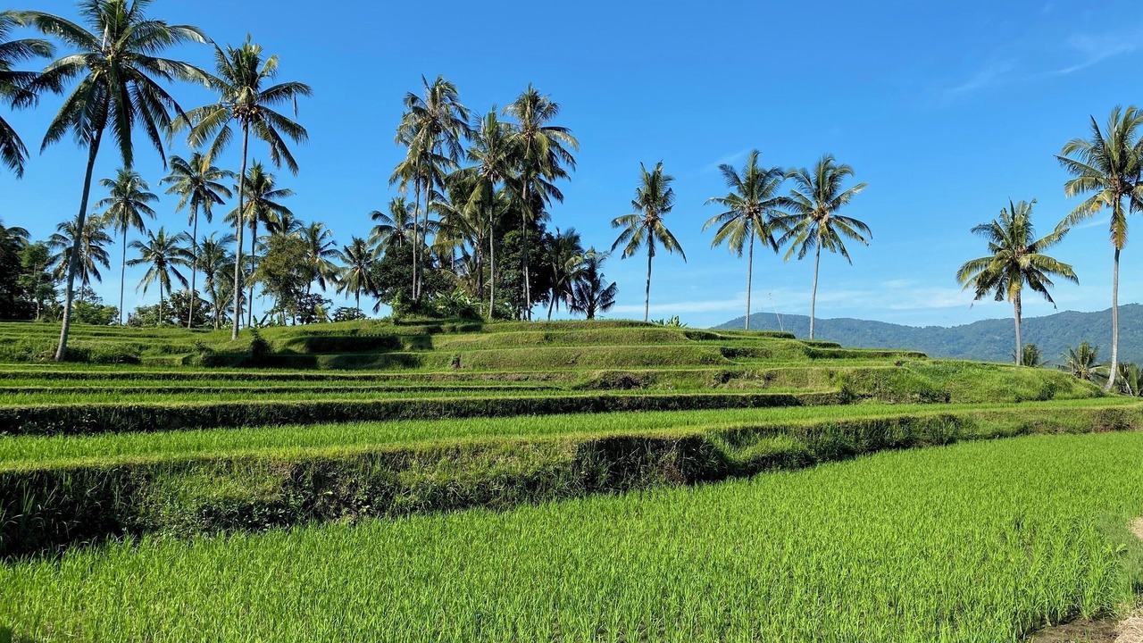 Photo of Outdoor in Banjartegehe