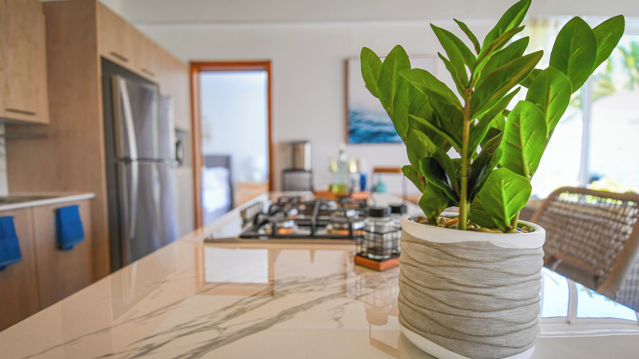 Photo of Kitchen in El Limon