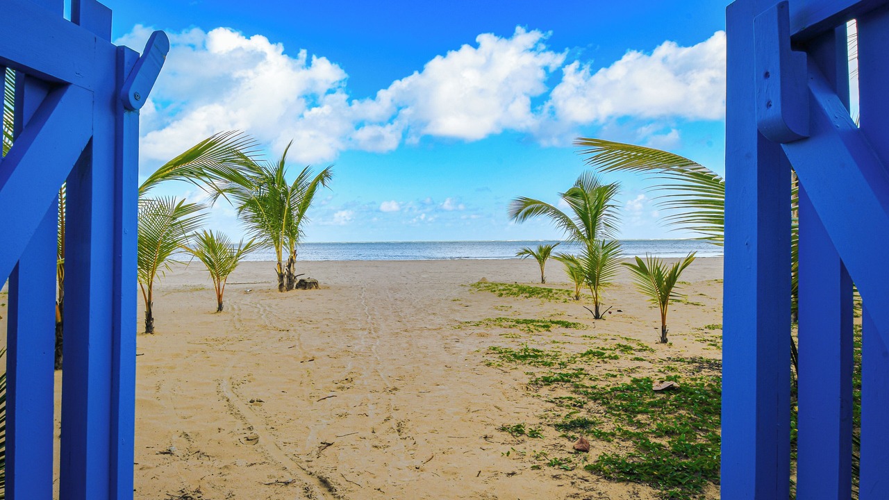 Photo of Others in El Limon
