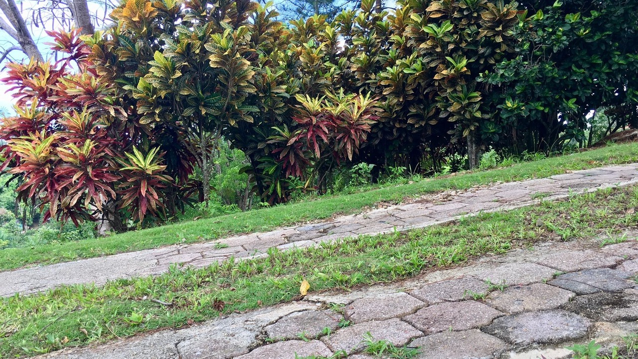 Photo of Outdoor in Bajos de Haina