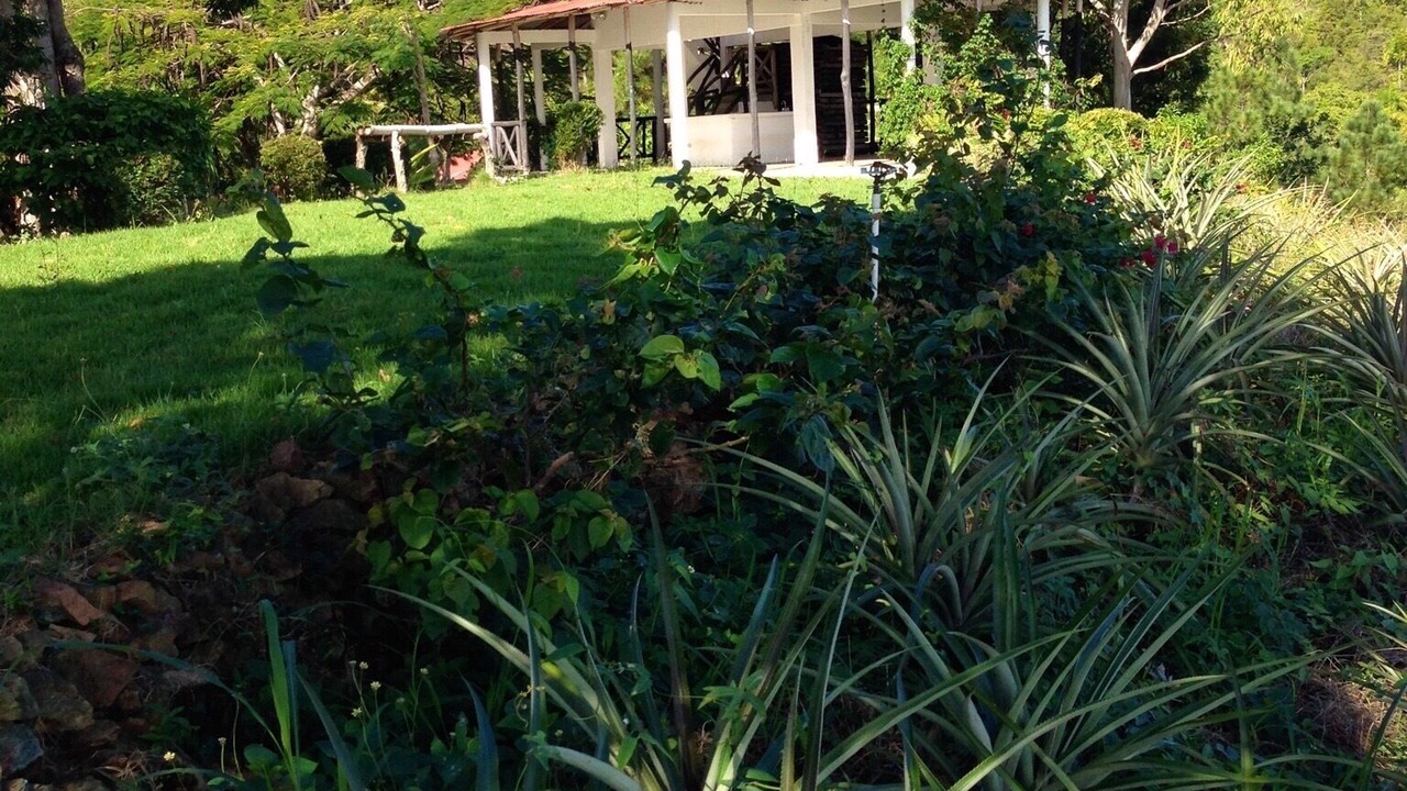 Photo of Outdoor in Bajos de Haina
