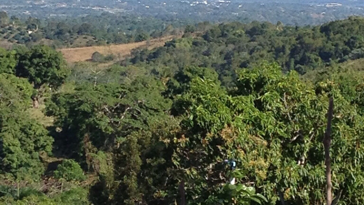 Photo of Outdoor in Bajos de Haina