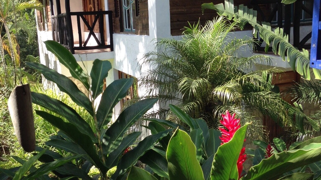 Photo of Outdoor in Bajos de Haina