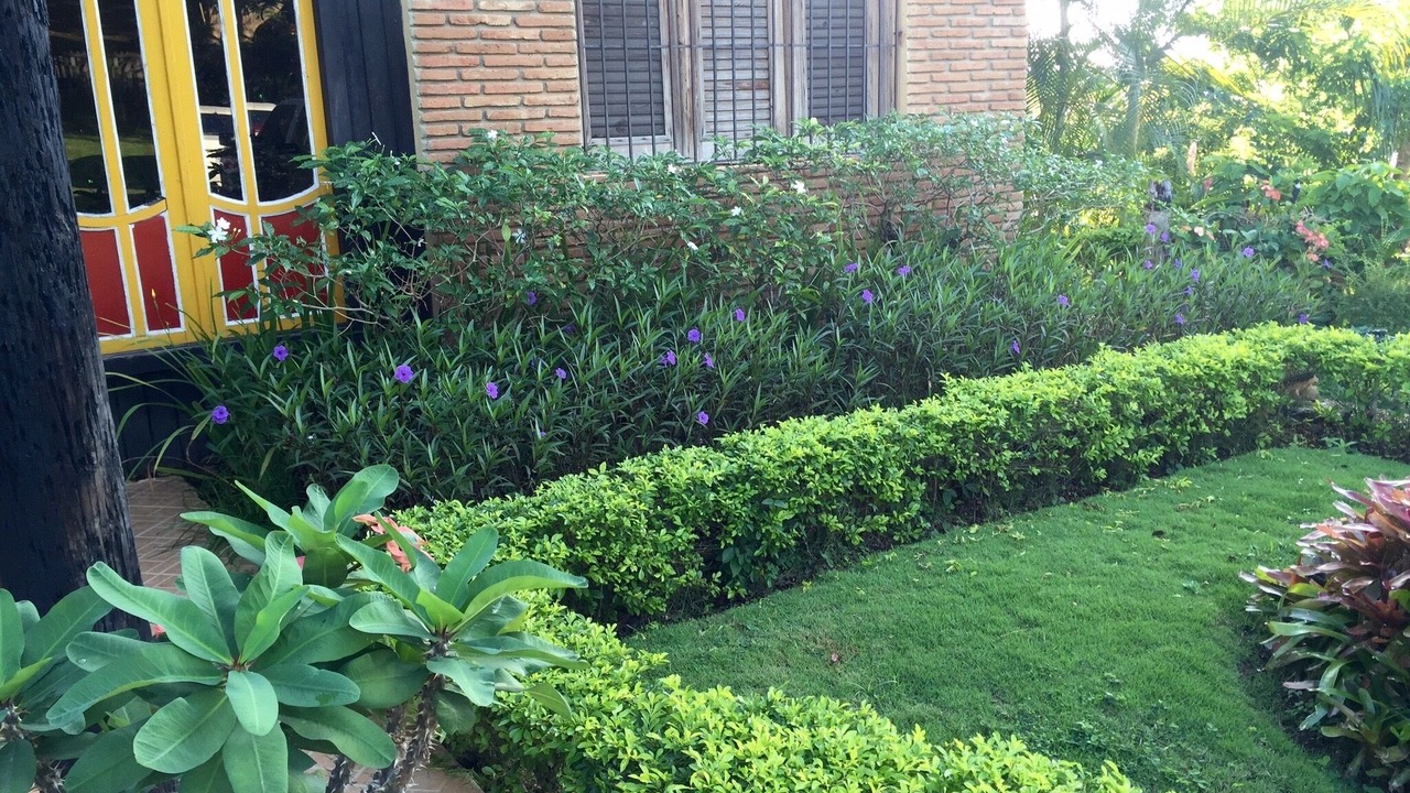Photo of Outdoor in Bajos de Haina