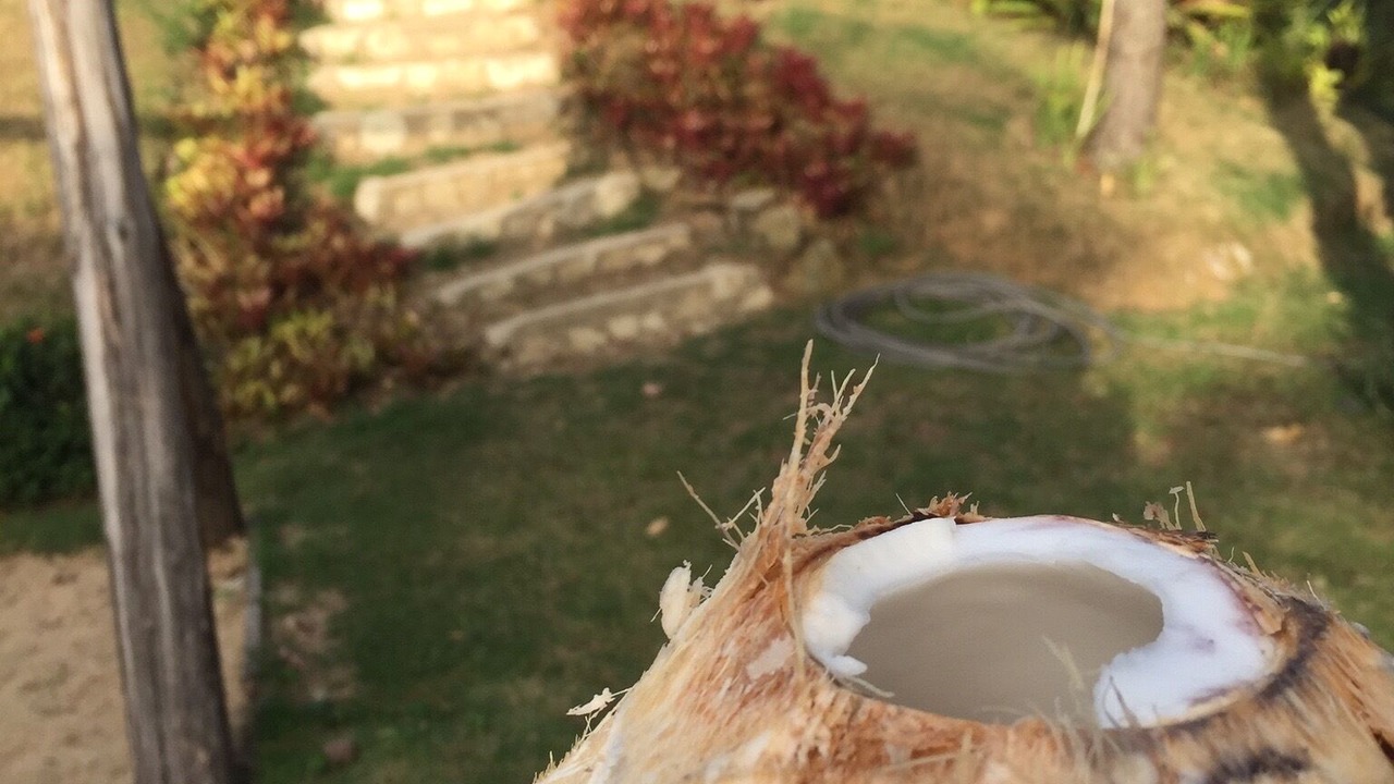 Photo of Outdoor in Bajos de Haina
