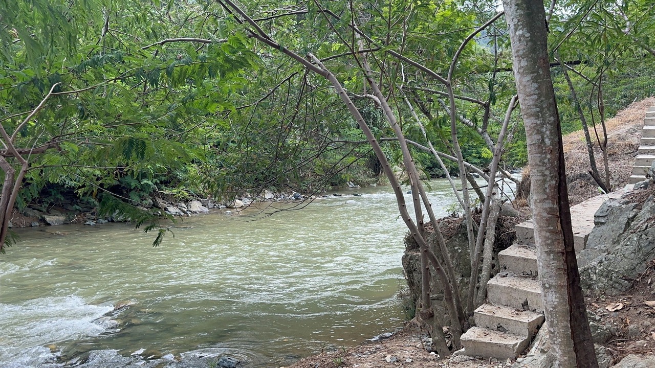Photo of Outdoor in La Vega