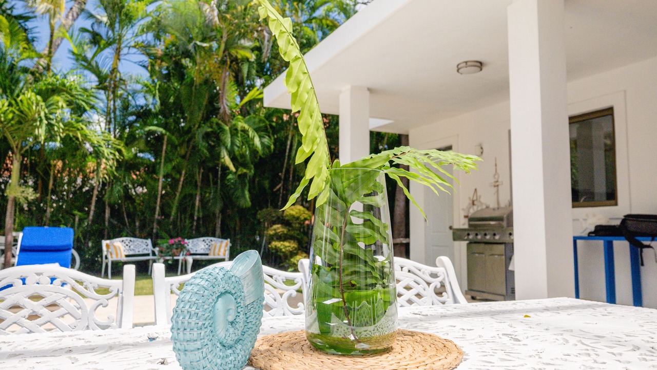 Photo of Patio Balcony in Punta Cana Village