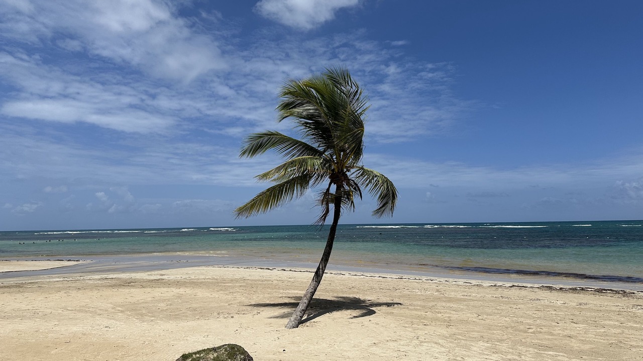 Photo of Others in Samana