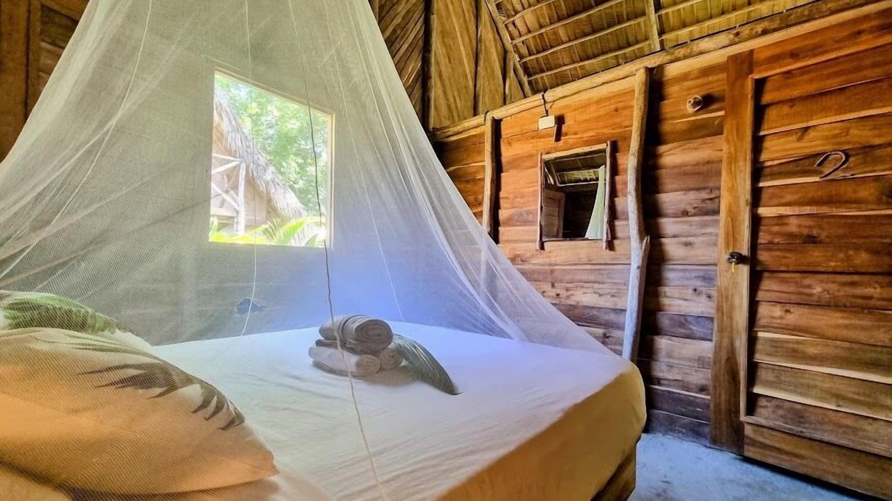 Photo of Outdoor in Samana