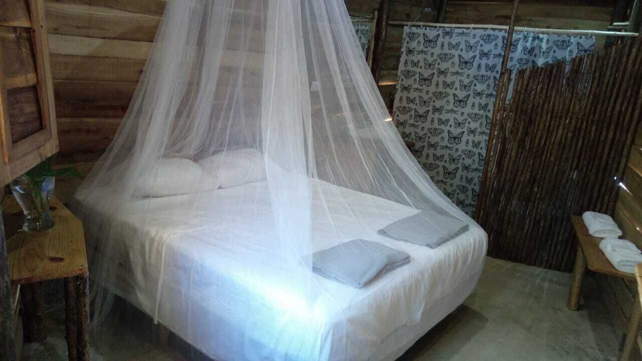 Photo of Outdoor in Samana